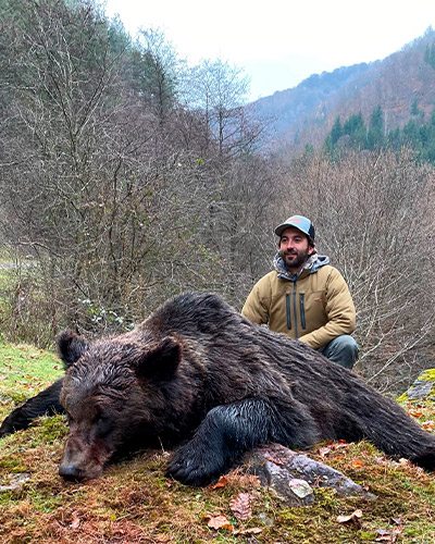 foto-oso-2 caza osos rumania